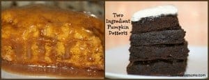 2 ingredient pumpkin dessert collage 2