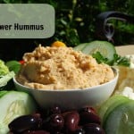 Paleo Alternative to Hummus