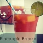 Pineapple Breeze Real Housemoms